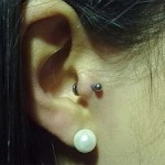 tragus-300x225