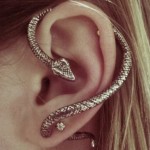 helix-piercing-snake